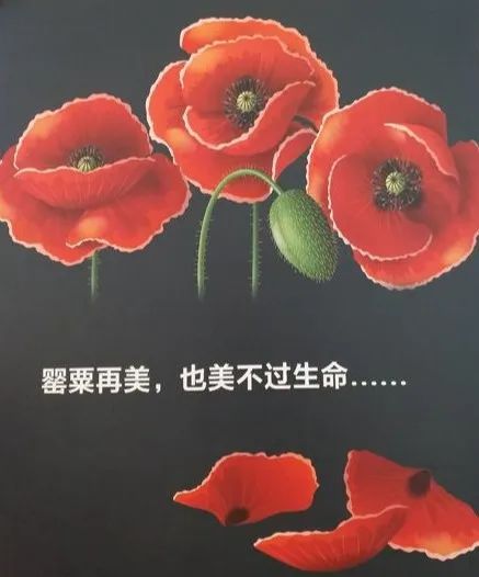1645864155339612.jpg 333.jpg